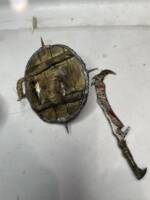 Kaznah / soldier of Mordor (Lord of the Rings) Custom Action Figure
