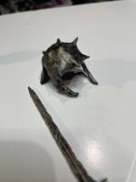Nazsha /Mordor orcsoldier (Lord of the Rings) Custom Action Figure