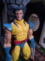 Wolverine (Marvel Legends) Custom Action Figure