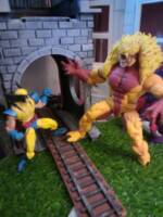 Wolverine (Marvel Legends) Custom Action Figure
