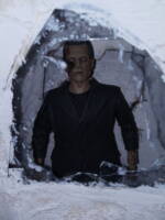 Frankenstein's Monster Frozen in Ice (Horror) Custom Diorama / Playset