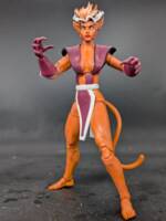 Feral V6 (Marvel Legends) Custom Action Figure