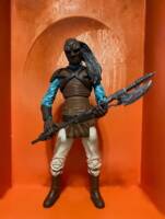 Weequay (Star Wars) Custom Action Figure