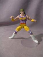 Crush (Wrestling) Custom Action Figure