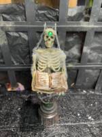 Necromancer (Dungeons and Dragons) Custom Action Figure