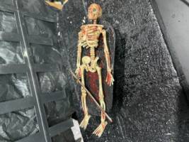Necromancer (Dungeons and Dragons) Custom Action Figure