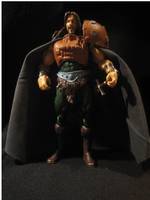 Captain Randor (Masters of the Universe) Custom Action Figure