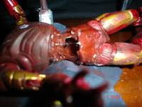 Zombie Iron Man (Marvel) Custom Action Figure