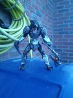 Lyran exile Po'El from the Theraian Crested Ridge (Original) Custom Action Figure