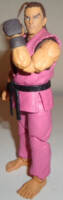 Dan Hibiki (Marvel vs Capcom) Custom Action Figure