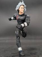 Northstar (Age of Apocalypse) (Marvel Legends) Custom Action Figure