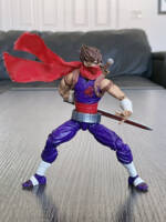 Strider Hiryu (Marvel vs Capcom) Custom Action Figure