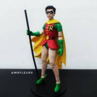Robin, The Boy Wonder (DC Multiverse) Custom Action Figure