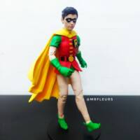 Robin, The Boy Wonder (DC Multiverse) Custom Action Figure