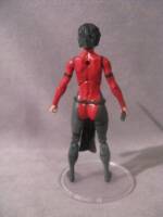 Young Justice Lady Shiva (DC Multiverse) Custom Action Figure