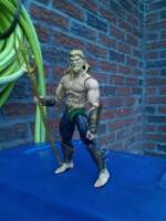 Aquaman (not an accurate depiction) (DC Universe) Custom Action Figure