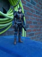Carrie Kelley as Robin in Woeful Throes :Life Goes On  (leader of the Batman Army) (DC Universe) Custom Action Figure