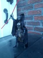 Lyran :Thera Onca Pardus sister of Po'El Pardus known as The Mad One  (an original character) (Original) Custom Action Figure