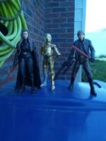 Sith Leia (Star Wars) Custom Action Figure