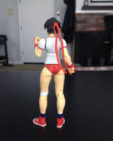 Sakura (Gym Outfit) (Street Fighter) Custom Action Figure