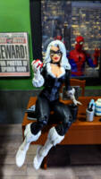 Black Cat (Marvel Legends) Custom Action Figure
