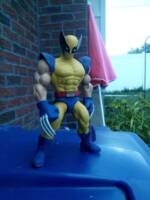 Wolverine (James Hewitt) (Marvel Universe) Custom Action Figure