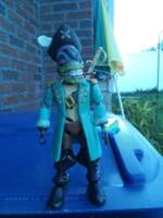 Roman-Gecko Pirate:Mondo (Teenage Mutant Ninja Turtles) Custom Action Figure
