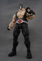 Bane V. 8 (DC Universe) Custom Action Figure