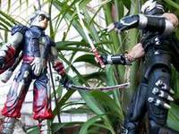 Genshin Leader (Ninja Gaiden) Custom Action Figure