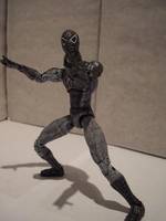 Negative Zone Spider-man (Movie) (Marvel Legends) Custom Action Figure