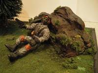 Behind Enemy Lines (Diorama) Custom Action Figure