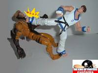 Kim Kaphwan (King of Fighters) (King of Fighters) Custom Action Figure
