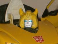 Bumblebee (Transformers - Alternators) Custom Action Figure
