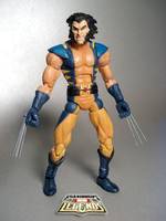 Wolverine (steel claw head swap) (Marvel Legends) Custom Action Figure