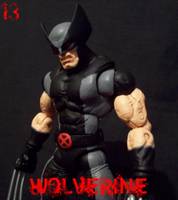 Wolverine (Marvel Legends) Custom Action Figure