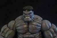 Grey Hulk (Incredible Hulk) Custom Action Figure