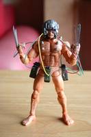 Wolverine- Weapon X (Marvel Legends) Custom Action Figure