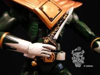 Green Ranger (Power Rangers) Custom Action Figure