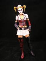 Batman Arkham Asylum Harley Quinn (Batman) Custom Action Figure