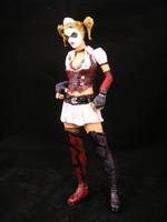 Batman Arkham Asylum Harley Quinn (Batman) Custom Action Figure