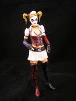 Batman Arkham Asylum Harley Quinn (Batman) Custom Action Figure