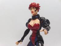 Aoa JEAN GREY (Marvel Legends) Custom Action Figure