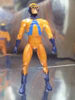 Animal Man (DC Direct) Custom Action Figure