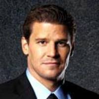 Special Agent Seeley Booth from Bones (Marvel Legends) Custom Action Figure