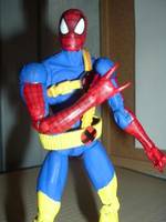 X-Men Spider-Man (Spider-Man) Custom Action Figure