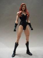DCUC Poison Ivy (DC Universe) Custom Action Figure