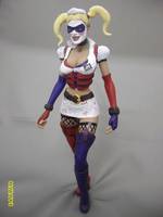 Arkham Asylum Harley Quinn (Batman) Custom Action Figure