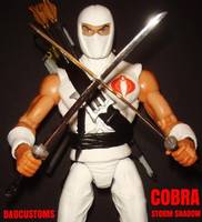 Cobra Storm Shadow Ninja Assassin (G.I. Joe) Custom Action Figure