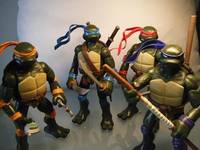 Teenage Mutant Ninja Turtles (T.M.N.T.) (Teenage Mutant Ninja Turtles) Custom Action Figure
