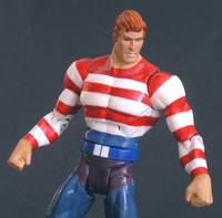 Stripesy (DC Superheroes) Custom Action Figure